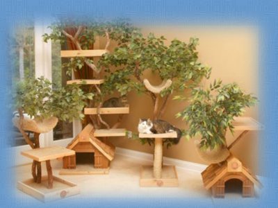 arbre a chat d'exterieur